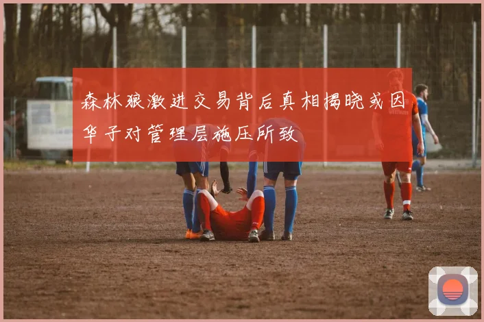 森林狼激进交易背后真相揭晓或因华子对管理层施压所致
